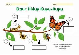 Kupu Kupu Musim Semi Topic Bahasa Inggris Indonesia Pdf Free Download